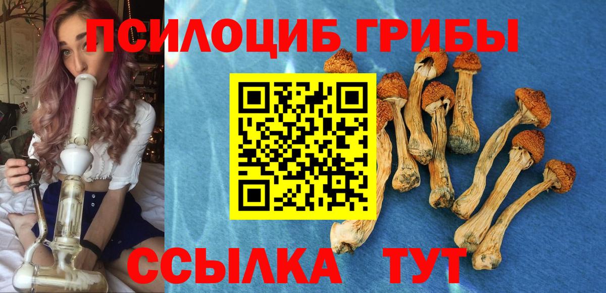Псилоцибиновые грибы прущие грибы Буйнакск