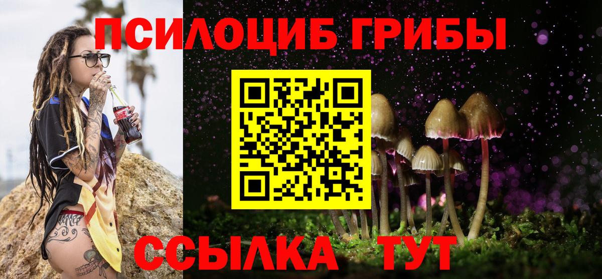 Галлюциногенные грибы Psilocybine cubensis  Вход с VPN  Буйнакск 